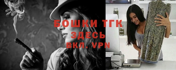 первитин Гусь-Хрустальный