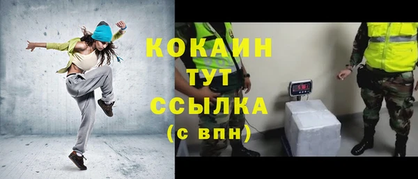 индика Гусиноозёрск