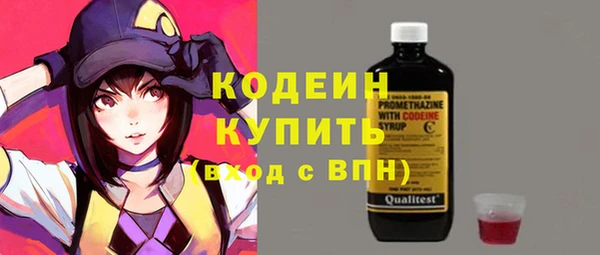 индика Гусиноозёрск
