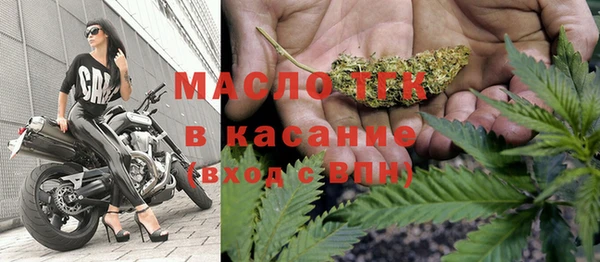 индика Гусиноозёрск
