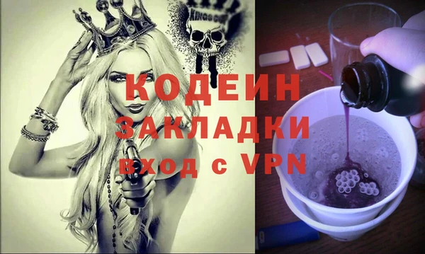 индика Гусиноозёрск