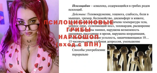 индика Гусиноозёрск