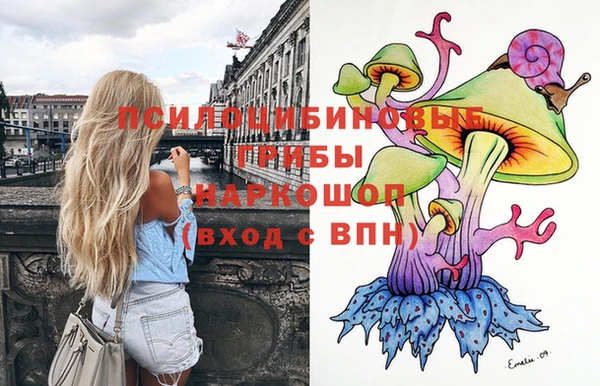 индика Гусиноозёрск