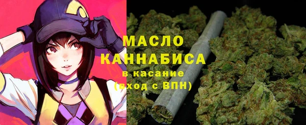 индика Гусиноозёрск
