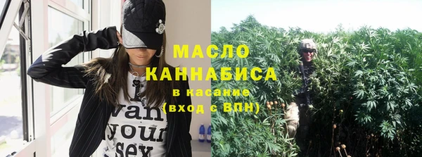 индика Гусиноозёрск