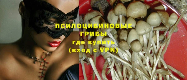 дживик Снежногорск
